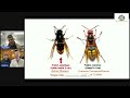 Hornets and Honey Bees With Richard Noel