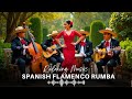 Best Spanish Flamenco Rumba &amp; Arab Oud Playlist 🎵 Relaxing Beautiful Oasis Music