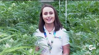 Southern Colorado indoor cannabis grow strives for sustainability