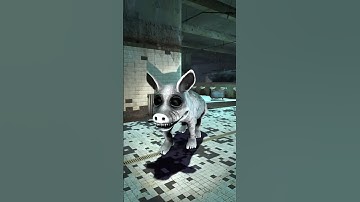 Which one is the most scary?! ZOONOMALY monsters in gmod size comparison