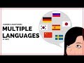 Learning and Maintaining Multiple Languages at Once