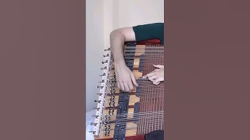 The World Record 69 String Bass