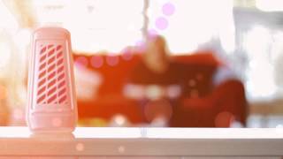 Isala Publieksacademie 12 Mei Chronische Hoest En Allergie