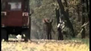 Staunton Hill 2009 Part 1 Of 12