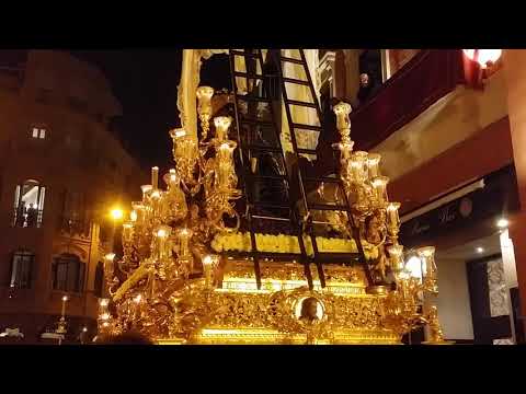 Pontificia y Real Hermandad Sacramental, Nuestra Señora de Roca Amador, Ánimas Benditas, Beato Marcelo Spinola y Primitiva Cofradía de Nazarenos de María Santísima en su Soledad