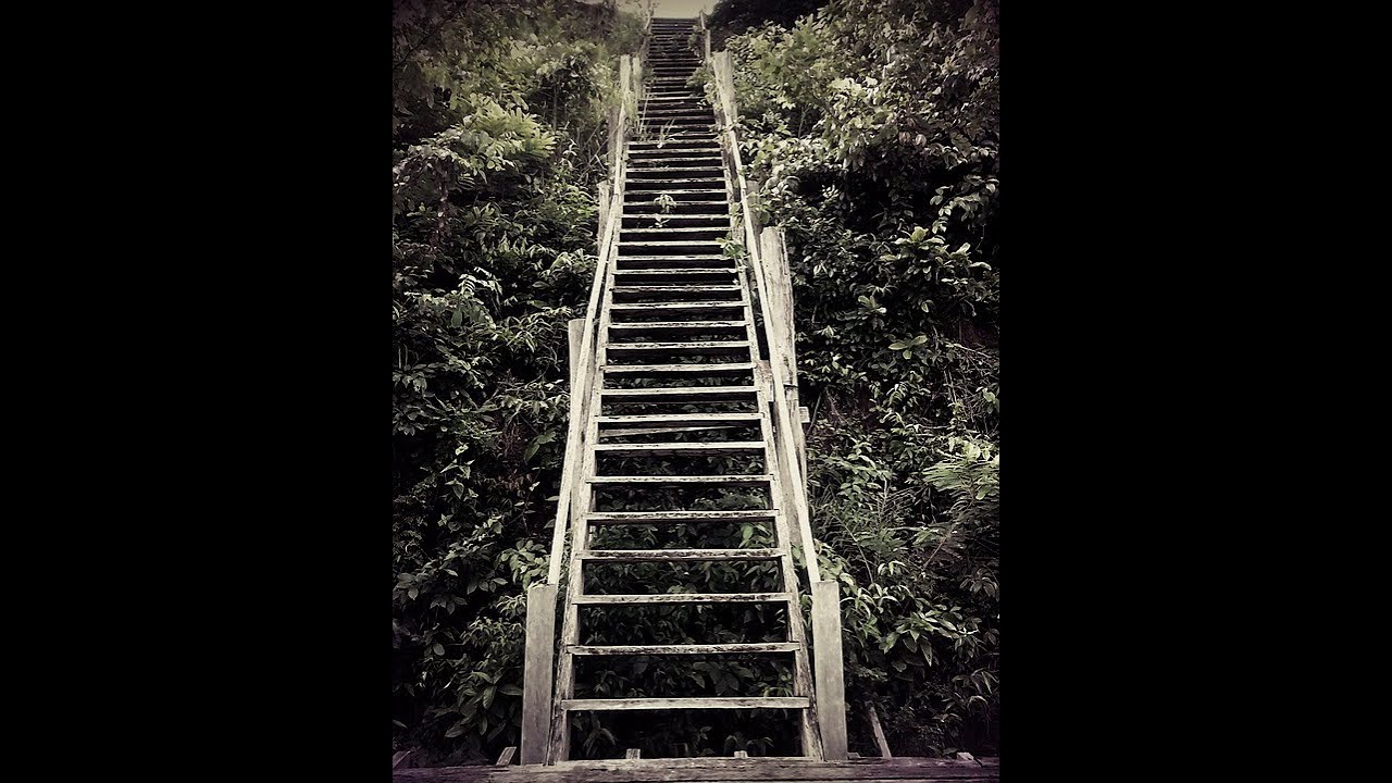 Escalas 3 - Ejercitaciones básicas