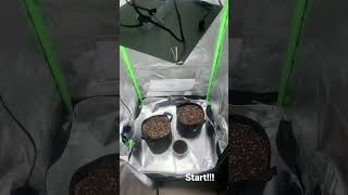 Grow 60x60x1,40