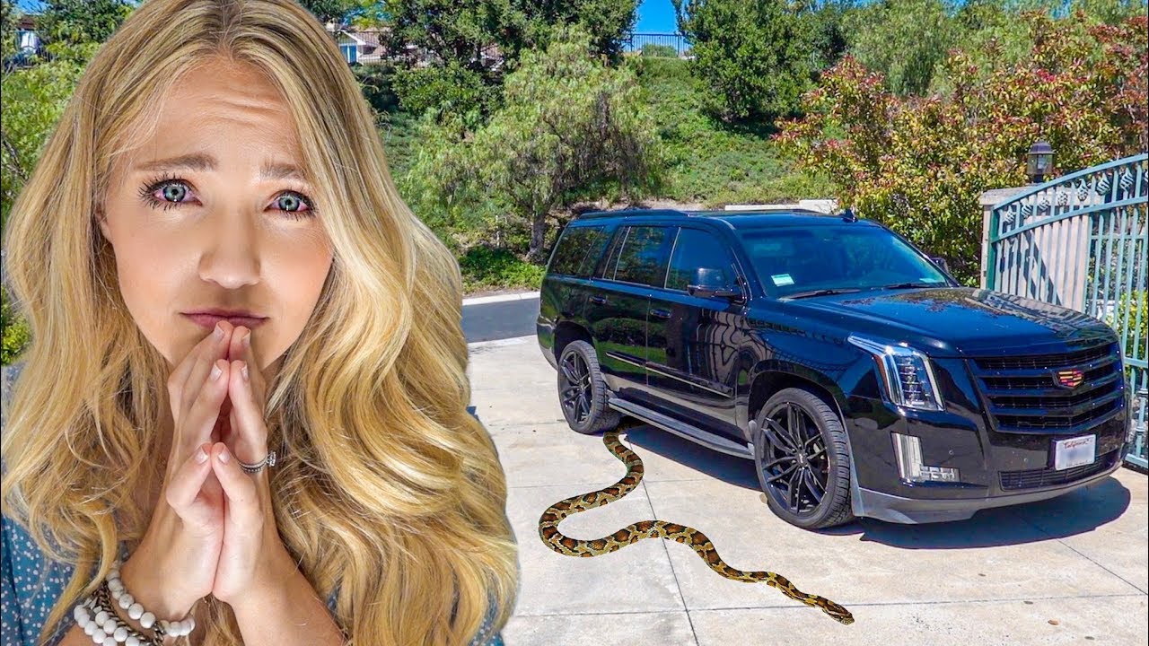 labrant family merch Savannah Ran Over This GIANT Snake Right In Front of Our House!!! (SHE'S TRAUMATIZED)