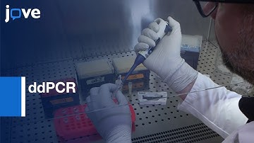 ddPCR for Detection of Mutations in Hotspot Regions | Protocol Preview