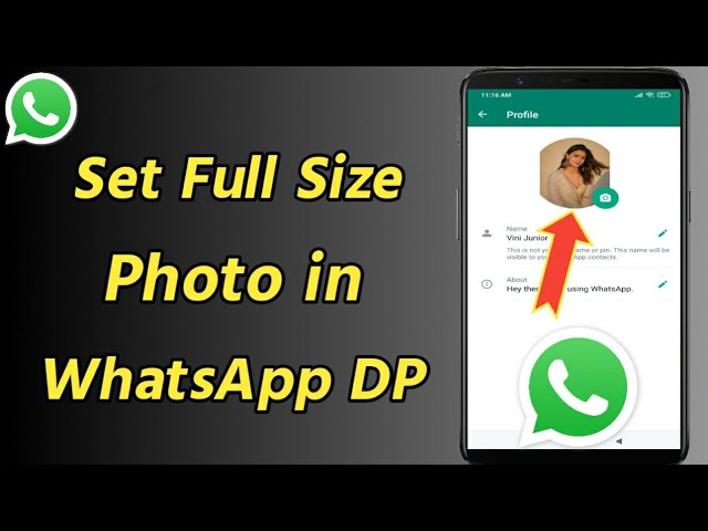 What Is WhatsApp Profile Picture Size and How to Add Any Picture to It -  Guiding Tech