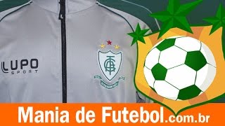 Agasalho Viagem Ct América Mg 2017 Cinza