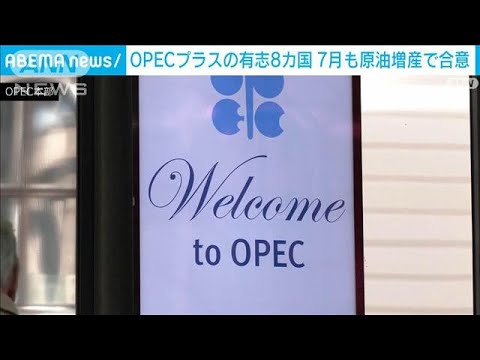 OPECプラスの有志8カ国が7月も原油増産で合意　日量41万1000バレルの増産(2025年5月31日)