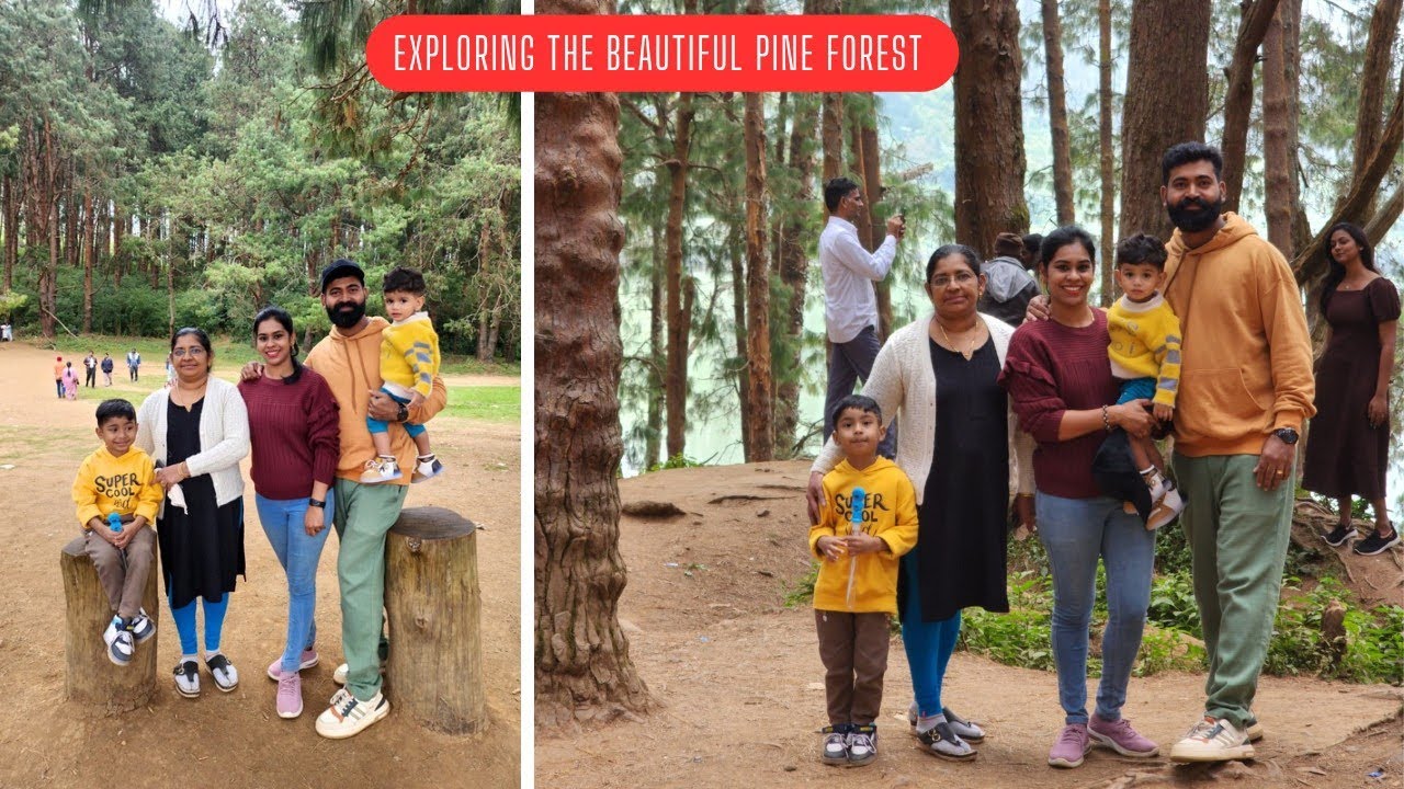Beauty of Pine Forest Ooty/ Family