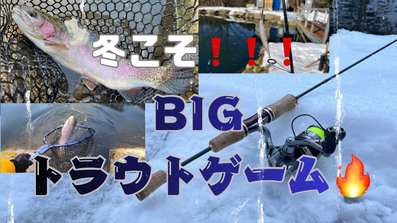 【鶴沼川フィッシングパーク】大物狙いは今しかない🔥雪の中でのBIGトラウトゲーム🎣🐟❗️