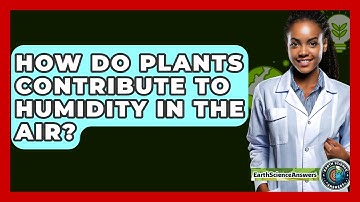 How Do Plants Contribute To Humidity In The Air? - Earth Science Answers