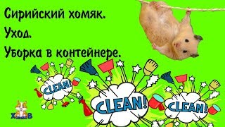 СИРИЙСКИЙ ХОМЯК.УХОД. УБОРКА В КОНТЕЙНЕРЕ. СИРИЙСКИЙ ХОМЯК.УХОД. УБОРКА В КОНТЕЙНЕРЕ.