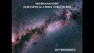 Subcortical limbic structures - Neuroanatomy - SKY MNEMONICS