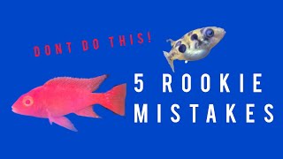 Watch this before buying an aquarium: Don't make these 5 beginner mistakes!
