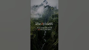سورة الأنعام - Surah Al-Anam || عبد الشكور الهلال