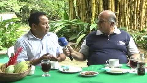 Confira algumas histórias da obra