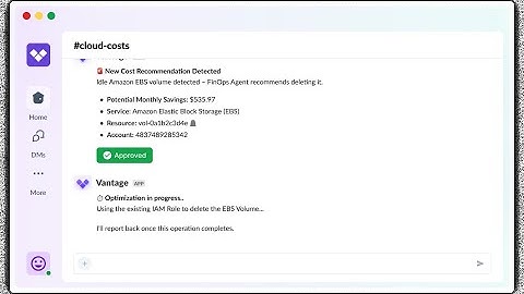 Introducing the Vantage FinOps Agent