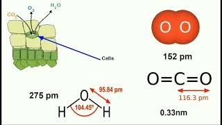 Career Overview 🌷Lotus Effect in Nanotechnology🌷@buvanateacher159