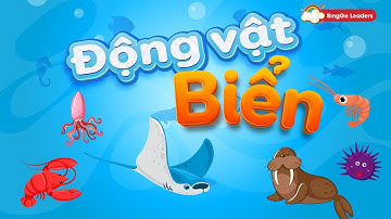 Từ vựng tiếng Anh về sinh vật biển | Động vật biển | Học từ vựng cho bé
