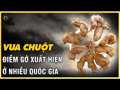 Video: Tại Sao Cần Có Chuột Nhảy