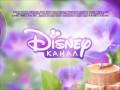Disney Channel Russia Ident With Registration Certificate Summer 2016 