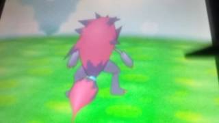 Pokemon Amie Zoroark