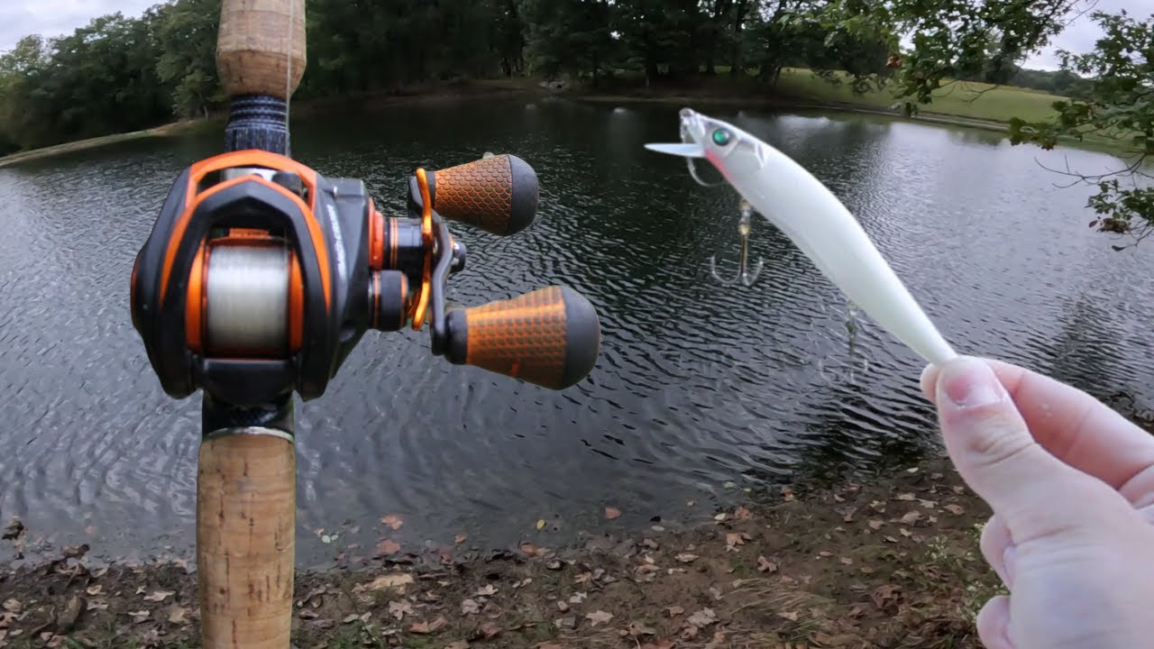 The Fall Bite is ON! Fall Bass Fishing!