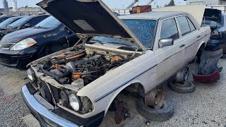 Tour of Oakland California Picknpull: Mercedes-Benz W126 W124 S124 W201 W140