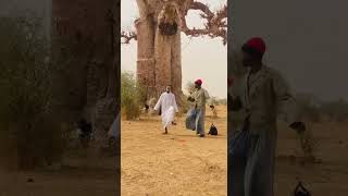 Kouné Sénégal nékhoul amo connexion 😂🥰🇸🇳