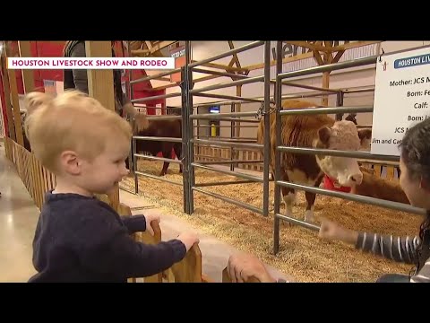 Your guide to RodeoHouston with kids | HOUSTON LIFE | KPRC 2