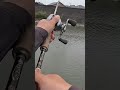 Lure surface bite