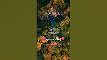 تلاوة هادئة تريح القلب للقارئ اسلام صبحي #اكسبلور #لايك #قرآن #ارح_قلبك #راحة_نفسية #duet #حالات_وات