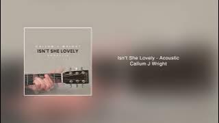Isn't She Lovely - Stevie Wonder (Callum J Wright) Acoustic (Audio Track)