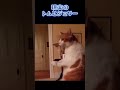 #動物#科学普及