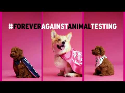 Animal Testing In Cosmetics Abolished