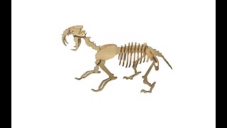 Laserbox case assembly: Saber-toothed tiger