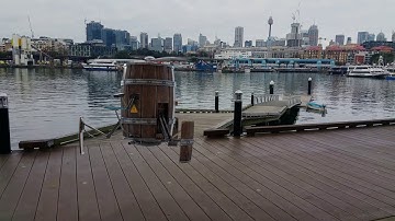 Blender 2.79 Principled BSDF model rendered with denoising