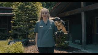 Rehab students help with routine exam on hawk ambassador