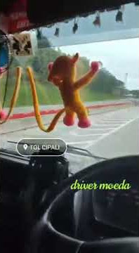 story wa sopir truck 