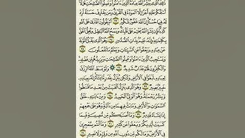 سورة الشورى من الآية ٢٣ إلى الآية ٣١بصوت القارئ ماهر المعيقلي