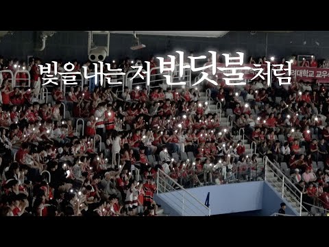 [오늘도 찬란하게 빛난 당신에게 | 도영- 반딧불 FMV]