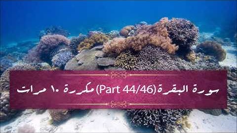 Surah Al- Baqarah(part 44/46) repeated 10 times - سورة البقرة (part 44/46) مكررة 10 مرات