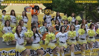 タイガースアカデミー　チア衣装 タイガースアカデミー｜阪神タイガース公式サイト