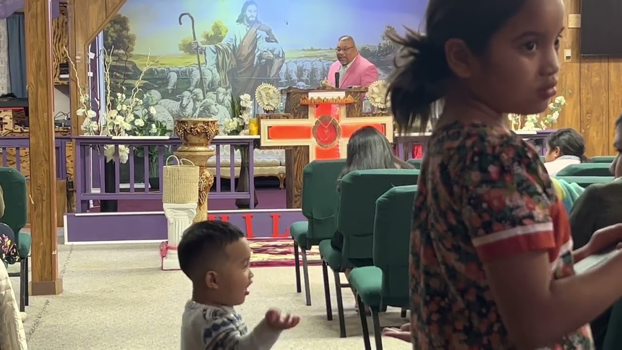 Rikaki Ray & Rikaki Rikaki kwalok