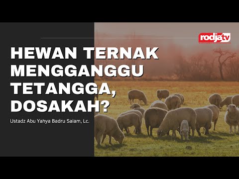 Video: Apakah peternak di halaman belakang buruk?