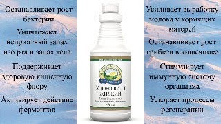 Регистрация в НСП. Покупка продукции НСП